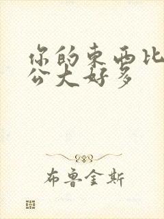 你的东西比我老公大好多