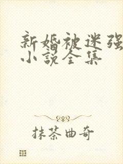 新婚被迷强系列小说全集
