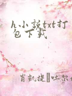 h小说txt打包下载