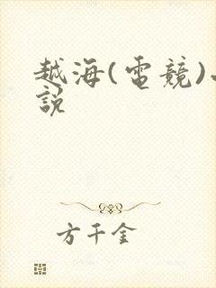越海(电竞)小说
