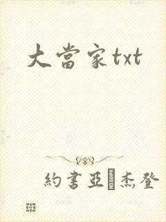 大当家txt