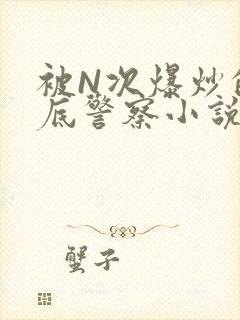 被N次爆炒的卧底警察小说