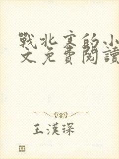 战北寒的小说全文免费阅读无弹窗