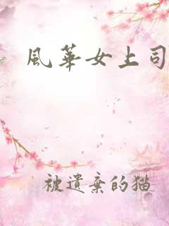 风华女上司
