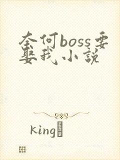 奈何boss要娶我小说