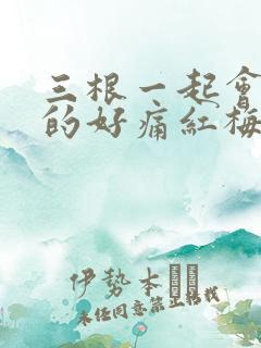 三根一起会坏掉的好痛红梅