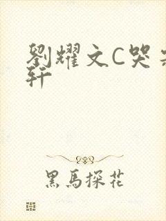 刘耀文C哭宋亚轩