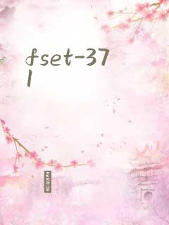 fset-371