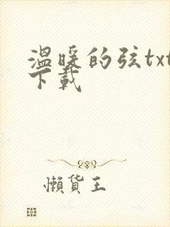 温暖的弦txt下载
