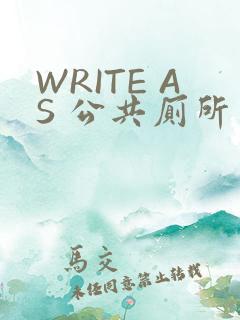 WRITE AS 公共厕所