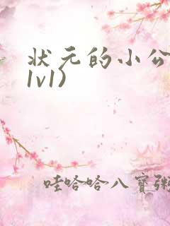 状元的小公主(1v1)