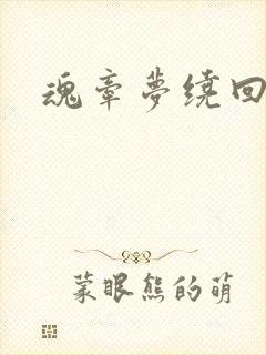 魂牵梦绕回大清