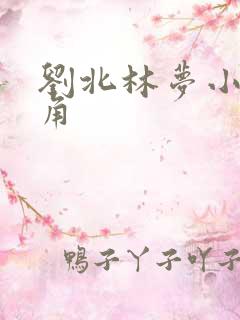 刘北林梦小说主角