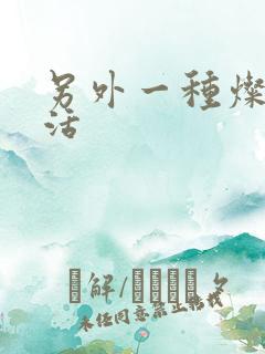 另外一种灿烂生活