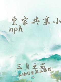皇家共享小公主nph