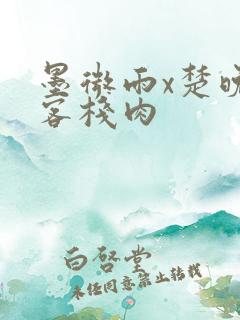 墨微雨x楚晚宁客栈肉