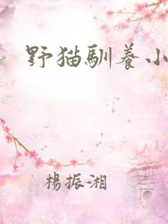 野猫驯养小说