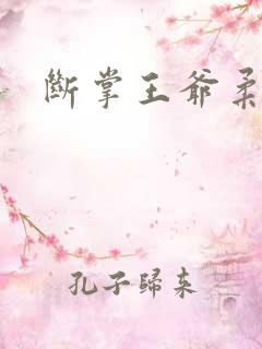 断掌王爷柔水妃