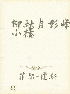 柳秋月彭峰月满小楼