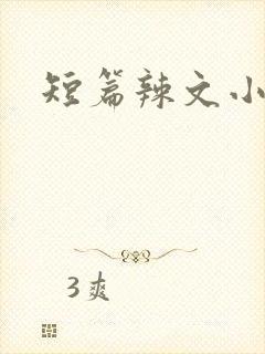 短篇辣文小说