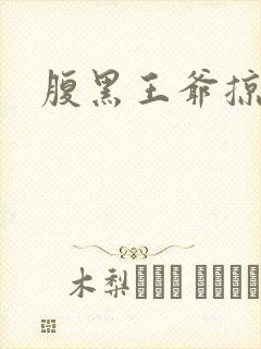 腹黑王爷掠邪妃