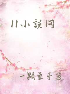 11小说网