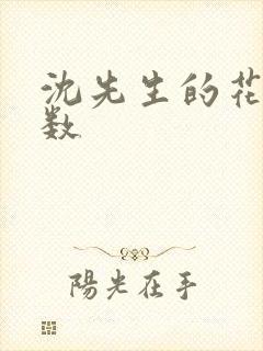 沈先生的花式调数