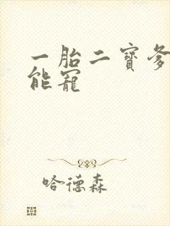 一胎二宝爹地超能宠