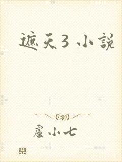 遮天3 小说