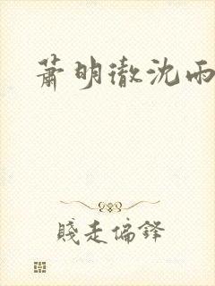 萧明彻沈雨燃