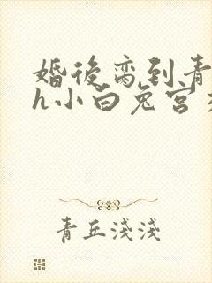 婚后脔到青梅哭h小白兔宫交h