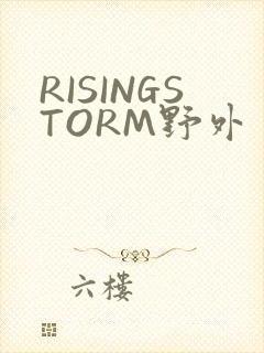 RISINGSTORM野外