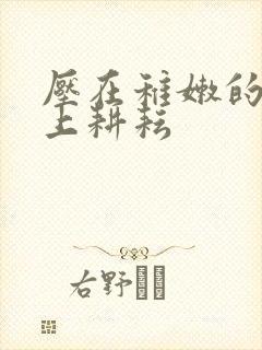 压在稚嫩的身体上耕耘