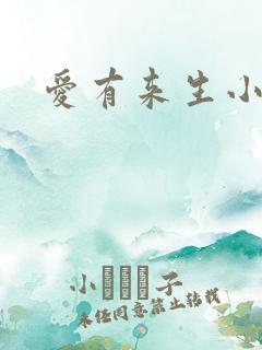 爱有来生小说