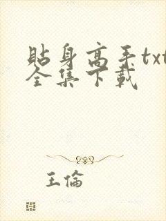 贴身高手txt全集下载