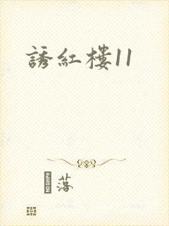 诱红楼11