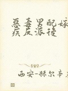 恶毒男配嫁给残疾反派后