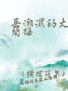 岳潮湿的大肥赵兰梅