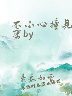 不小心撞见的秘密by