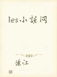 les小说网