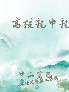 高校龙中龙全集