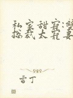 私家甜宠:双面总裁太宠妻