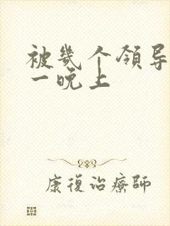 被几个领导玩弄一晚上