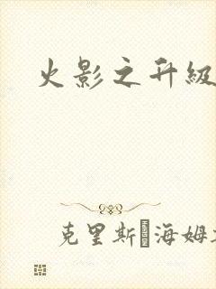 火影之升级狂人