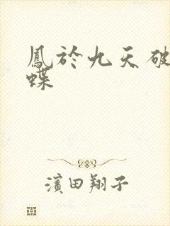 凤于九天破茧成蝶