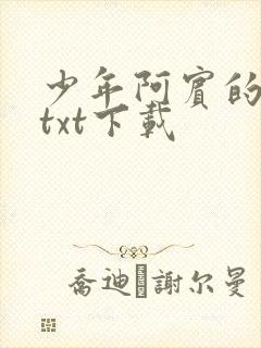 少年阿宾的故事txt下载