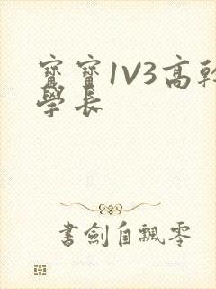 宝宝1V3高干学长