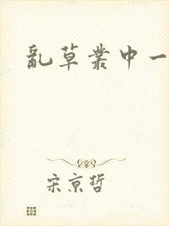 乱草丛中一杆枪