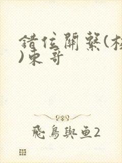 错位关系(校园)东哥