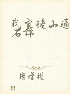 我家后山通仙界石锦